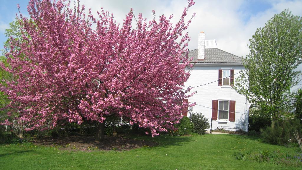 The Artist'S Inn And Gallery Terre Hill Esterno foto