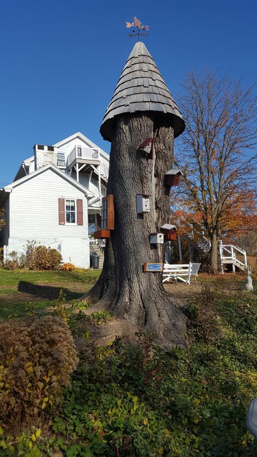 The Artist'S Inn And Gallery Terre Hill Esterno foto